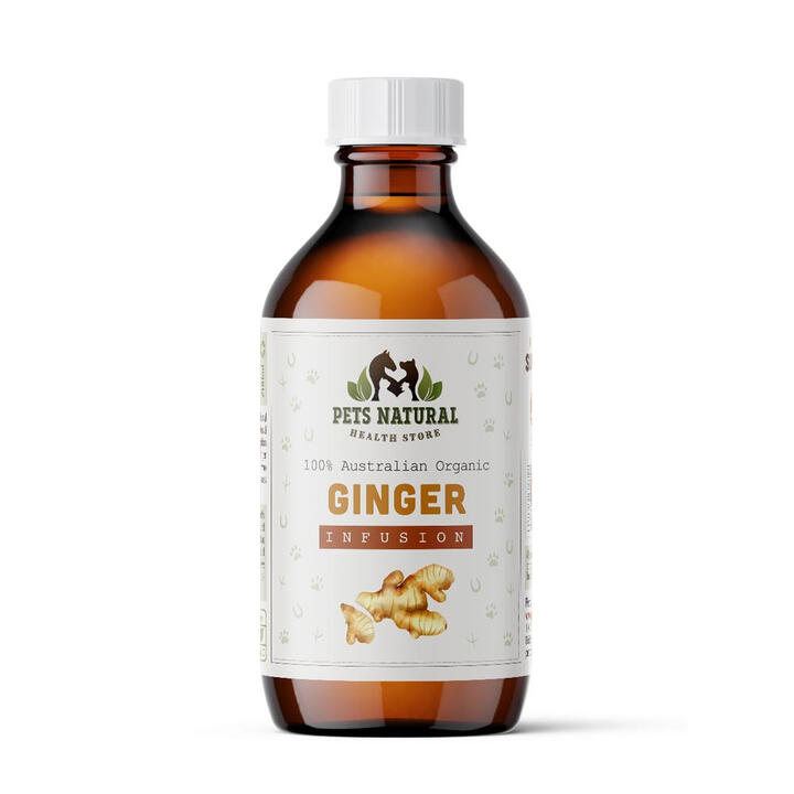 Ginger Organic Oil Infusion $40